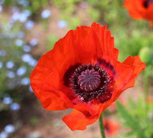 Impressionen im Oberland