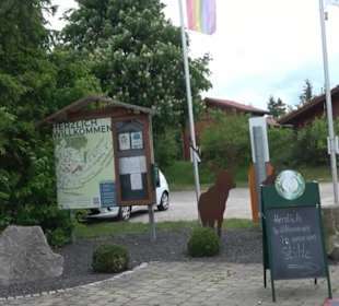 Waldklettergarten Atreenalin Dornstetten-Hallwange