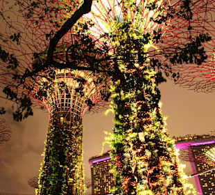 Gardens by the Bay