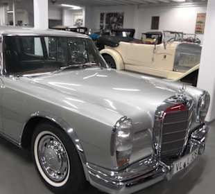 Autosammlung Steim