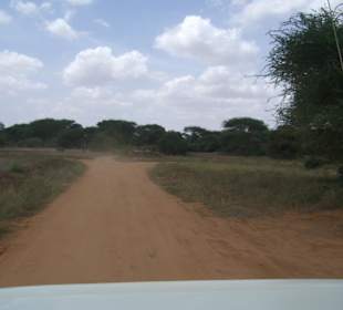 Tsavo Ost