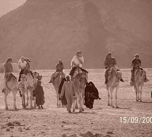 Kamelreiten in der Wüste