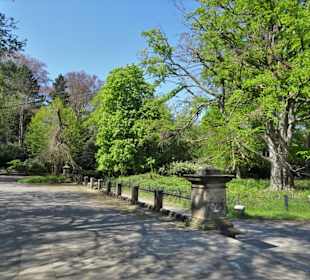 Rundgang durch den Von-Alten-Garten