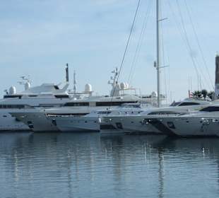 Hafen Porto Banus