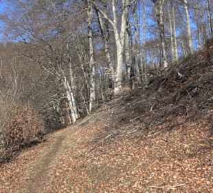 Naturerlebnispfad Meidelstetten