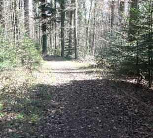 Grafenberger Brünnele