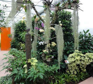 Raffeiner Orchideenwelt