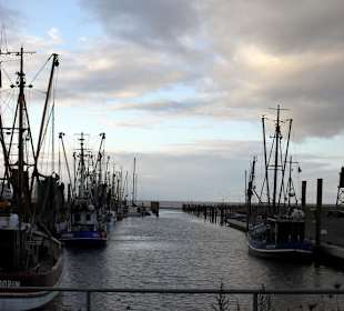 Kutterhafen