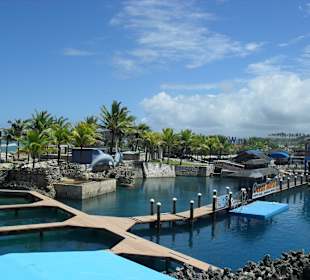 Das Geländer der Delphin-Show