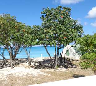 Im Bereich des National Parks