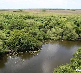 Shark Valley Trail (Overlook Point)
