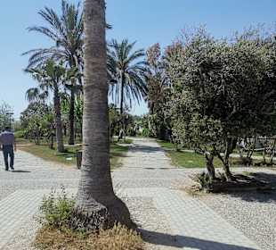 Strandpromenade Evrenseki