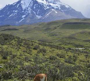 Park Narodowy Torres del Paine