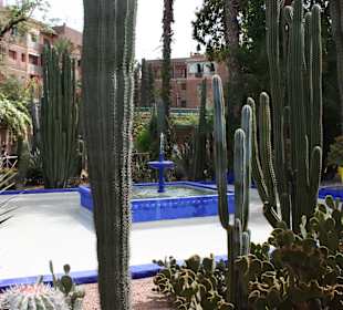 Jardin Majorelle