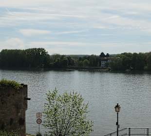 Blick von  der Kurfürstlichen Burg zum Rhein