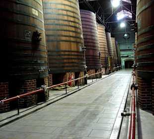 Das Fasslager der Cave in Thuir