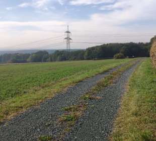 Wald und Wiesenweg vor Stadt Schlaining