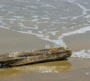 Strand von Bibione 06-2010