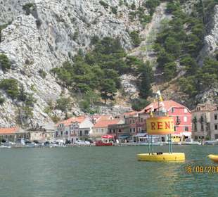 Omisz