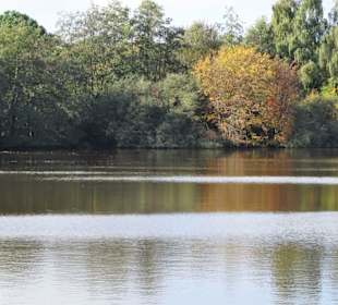 Impressionen vom Spaziergang am Drielaker See