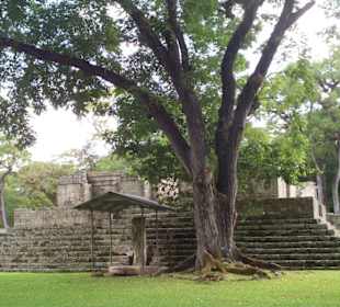Copan
