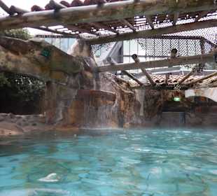 Fischtauchbecken 