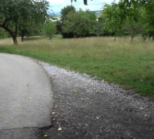 Wanderweg - Alter Steinbruch Pfaffenberg Runde