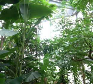 Tropicarium