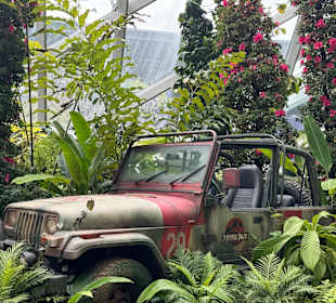 Cloud Forest