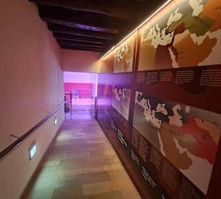 Museo Arqueológico de Ibiza y Formentera in Ibiza 