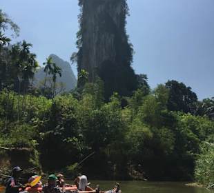 Karstfelsen im Khao Sok