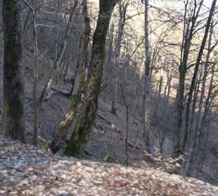 Wandertour Eppenzill