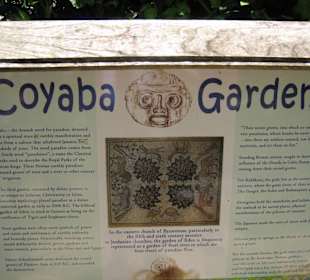 Ausflug Ocho Rios - Botan.Garten