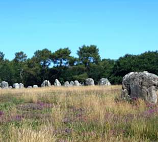 Hinkelstein-Feld Carnac