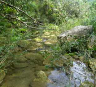 Unterwegs im Fluss