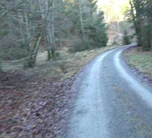 Ochsenweiher Rundweg