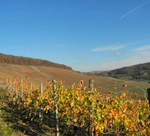 Blick auf Korber Kopf im November