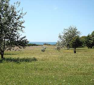 Golf von Baratti / Baratti-Strand