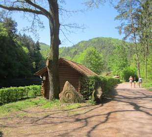Am Paddelweiher in Hauenstein