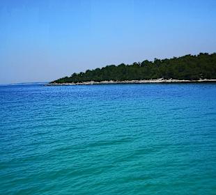 Bootstour Didim