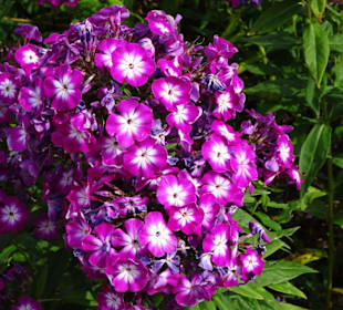 Eindrücke vom Rundgang durch den Park der Gärten