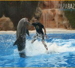Loro Parque