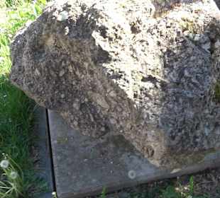 Geologischer Lehrgarten