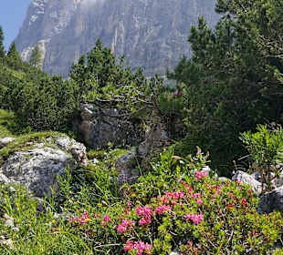 Wandern Nova Levante / Welschnofen