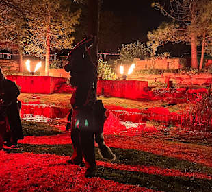 Mondo Verde Halloween