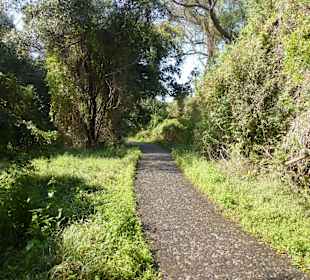 Rundweg Victoria Falls