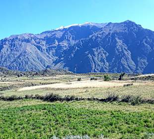 Colca-Canyon