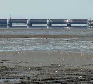 Panorama vom Schiff aus