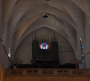 Iglesia Santa Maria de Sineu - Orgel
