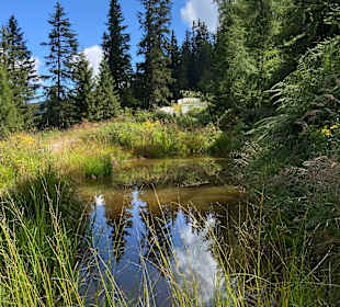 Wandern Hochpillberg